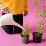 Heavy-Duty Watering Can