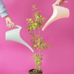 Heavy-Duty Watering Can - Image 2